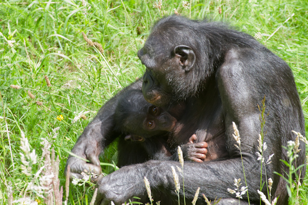 2011-07-04_020-2.jpg 2011 07 04 020 2