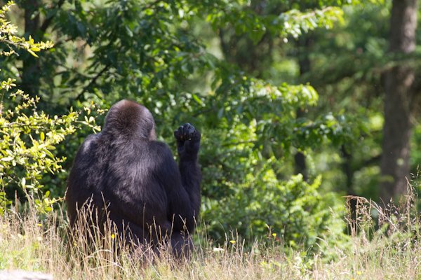 2011-07-04_054-2.jpg 2011 07 04 054 2